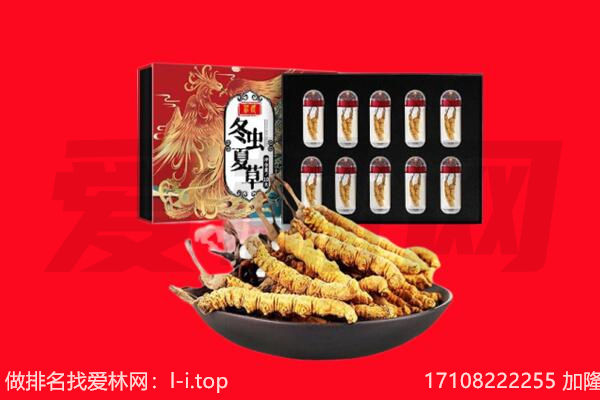 周口市川汇回收虫草.jpg